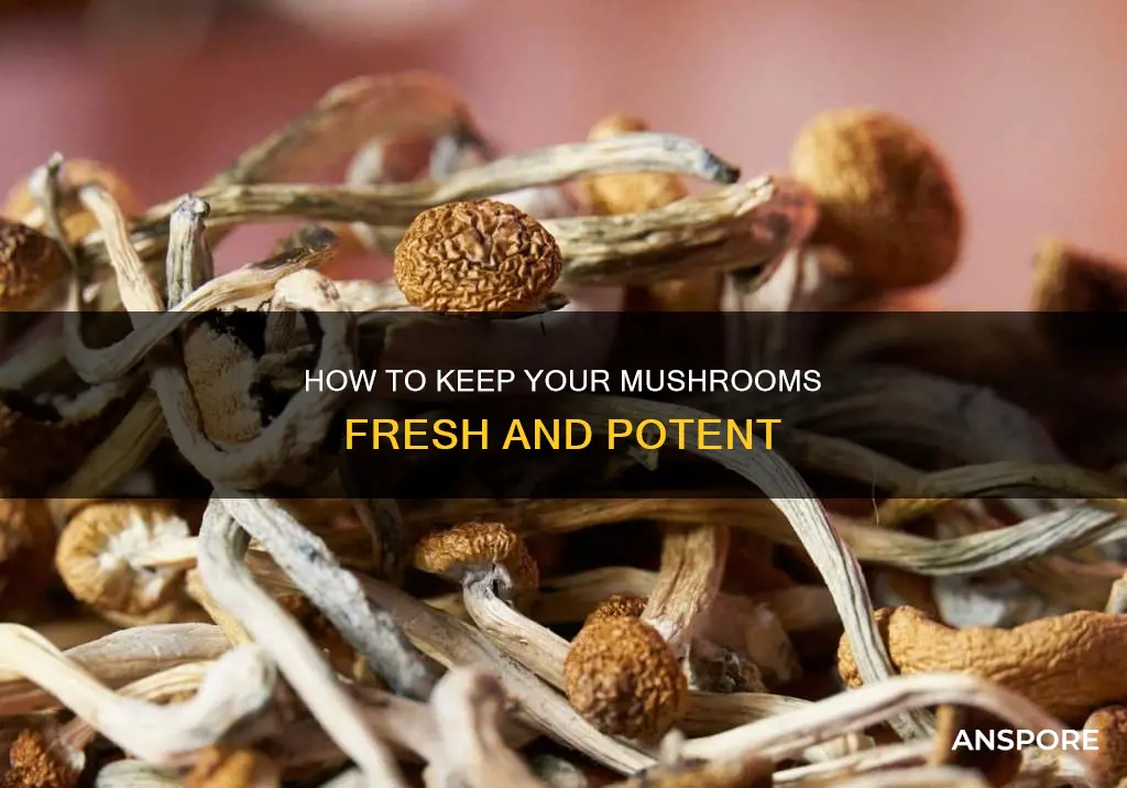 do mushrooms lose potency
