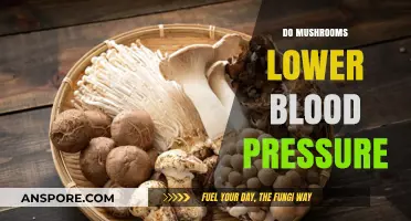 Mushrooms: Natural Solution for Lowering High Blood Pressure?