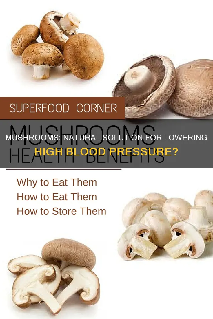 do mushrooms lower blood pressure