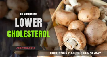 Mushrooms: Natural Cholesterol-Lowering Superfood?