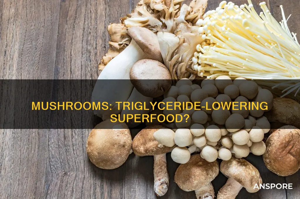 do mushrooms lower triglycerides
