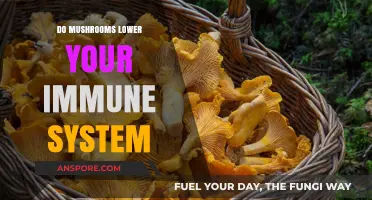 Mushrooms and Immunity: Debunking Myths About Their Impact on Health