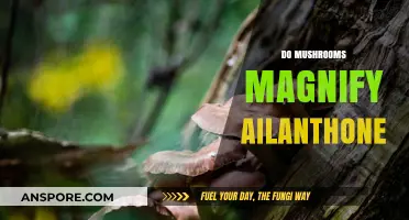 How Mushrooms Boost Ailanthone's Power