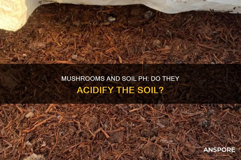 do mushrooms make acid soil do mushrooms acidify the soil