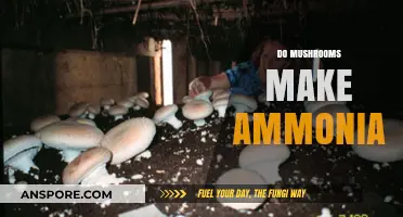 Do Mushrooms Produce Ammonia? Unveiling the Fungal Chemistry Mystery