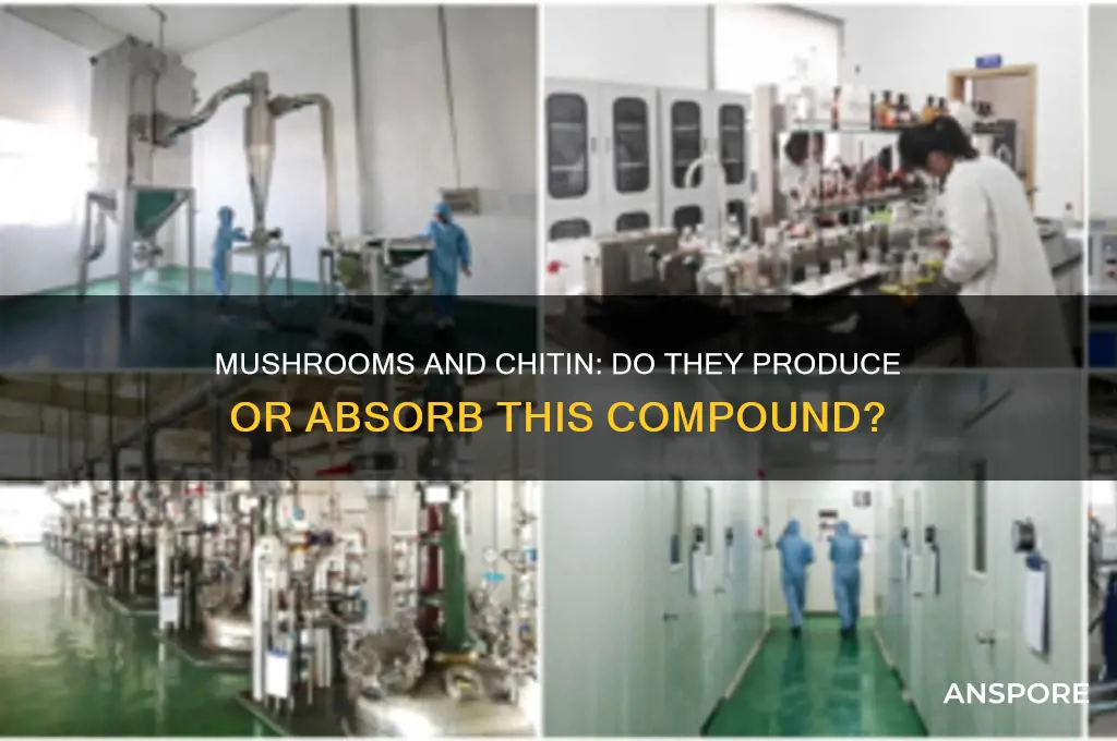 do mushrooms make chitin or acquire it