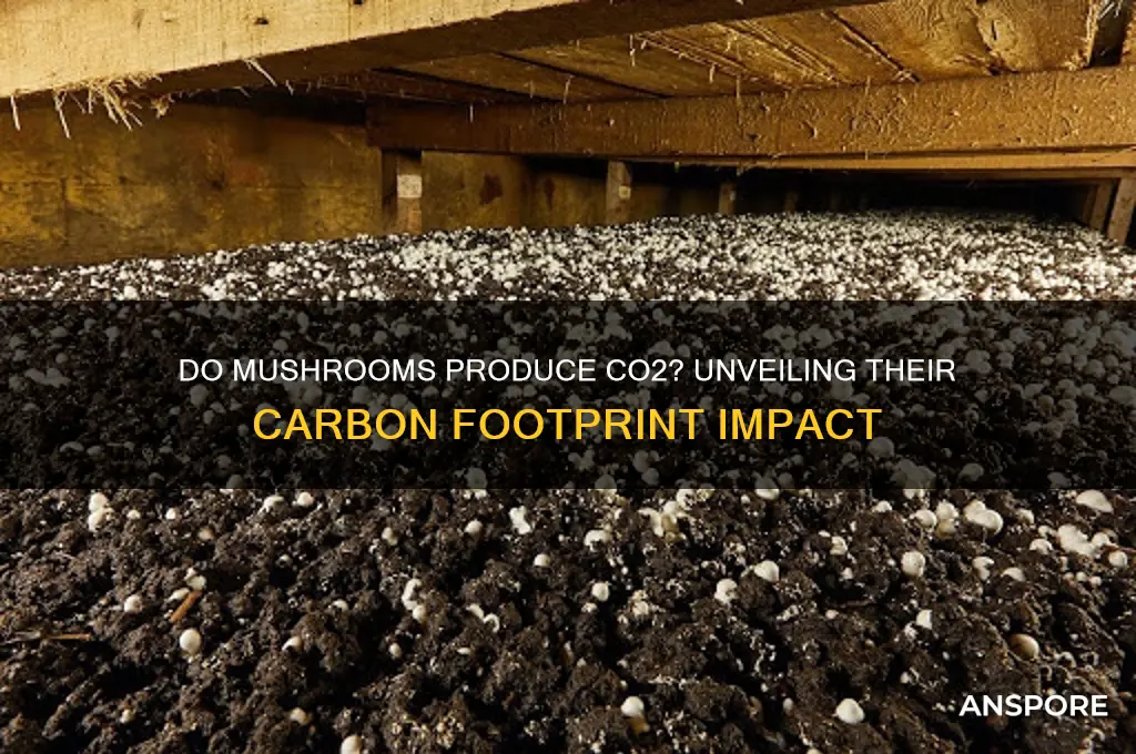 do mushrooms make co2