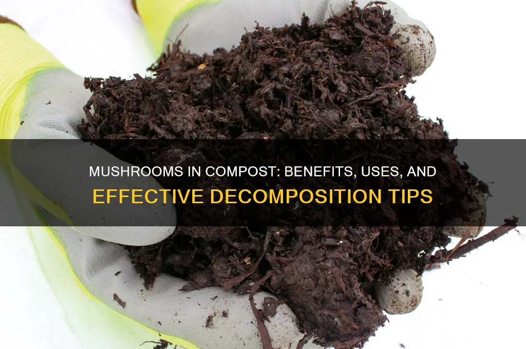 do mushrooms make good compost