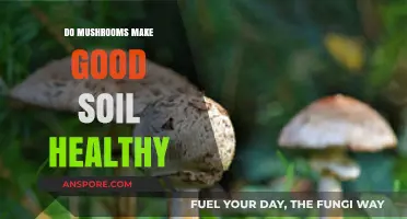 Boosting Soil Health: The Surprising Benefits of Mushrooms in Gardening