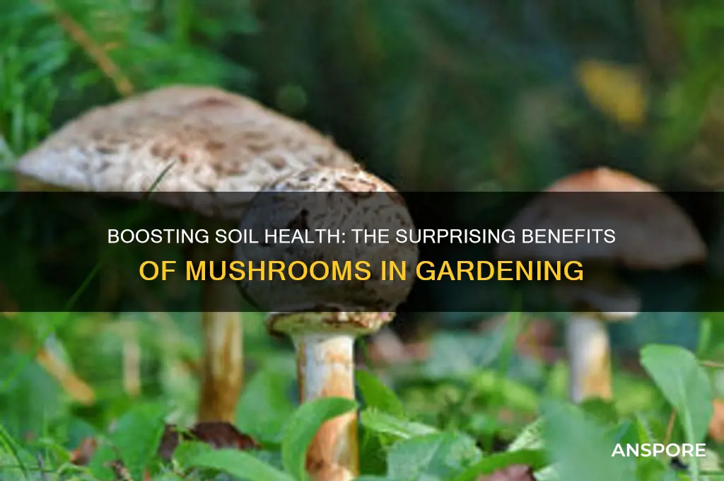 do mushrooms make good soil healthy