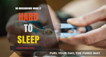 Mushrooms and Sleep: Unraveling Their Impact on Restful Nights