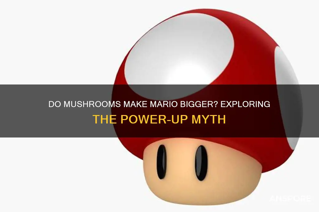 do mushrooms make mario bigger