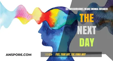 Mushrooms and MDMA: Do They Weaken the Effects the Next Day?