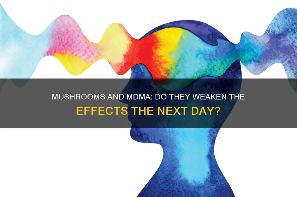 do mushrooms make mdma weaker the next day
