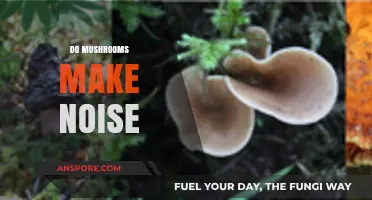Do Mushrooms Make Noise? Exploring the Silent World of Fungi