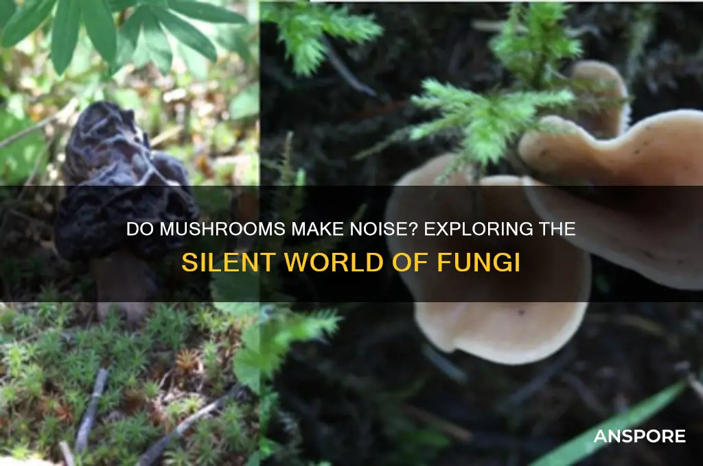 do mushrooms make noise