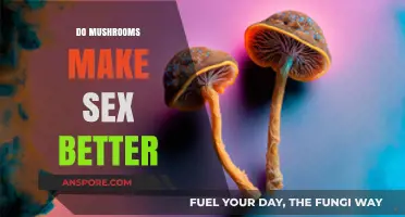 Mushrooms and Libido: Can Fungi Enhance Your Sexual Experience?