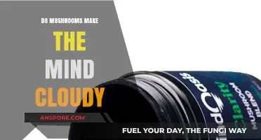 Do Mushrooms Cloud Your Mind? Exploring Cognitive Effects and Clarity