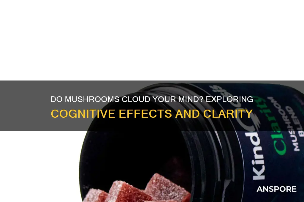 do mushrooms make the mind cloudy