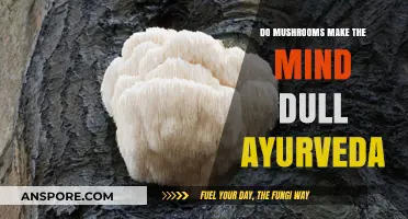 Ayurveda's Take: Do Mushrooms Dull the Mind or Enhance Clarity?