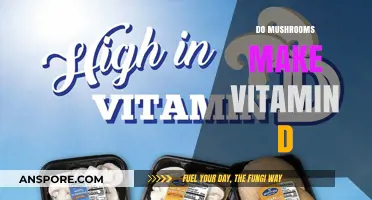 Mushrooms and Vitamin D: Unveiling Their Sunlight-Free Nutrient Connection