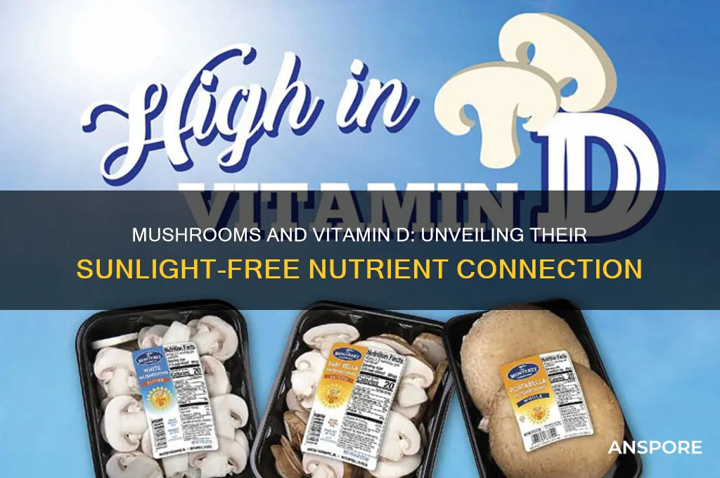 do mushrooms make vitamin d