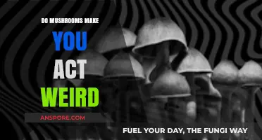 Do Mushrooms Alter Behavior? Exploring the Weird Effects of Fungi