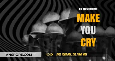 Do Mushrooms Make You Cry? Exploring Emotional Effects of Fungi