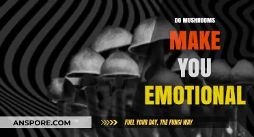 Mushrooms and Emotions: Unveiling the Surprising Connection to Your Feelings