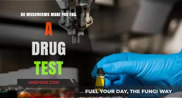 Can Mushrooms Cause a Failed Drug Test? Facts and Myths Explained