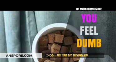 Do Mushrooms Affect Cognitive Function? Debunking the 'Dumb' Myth