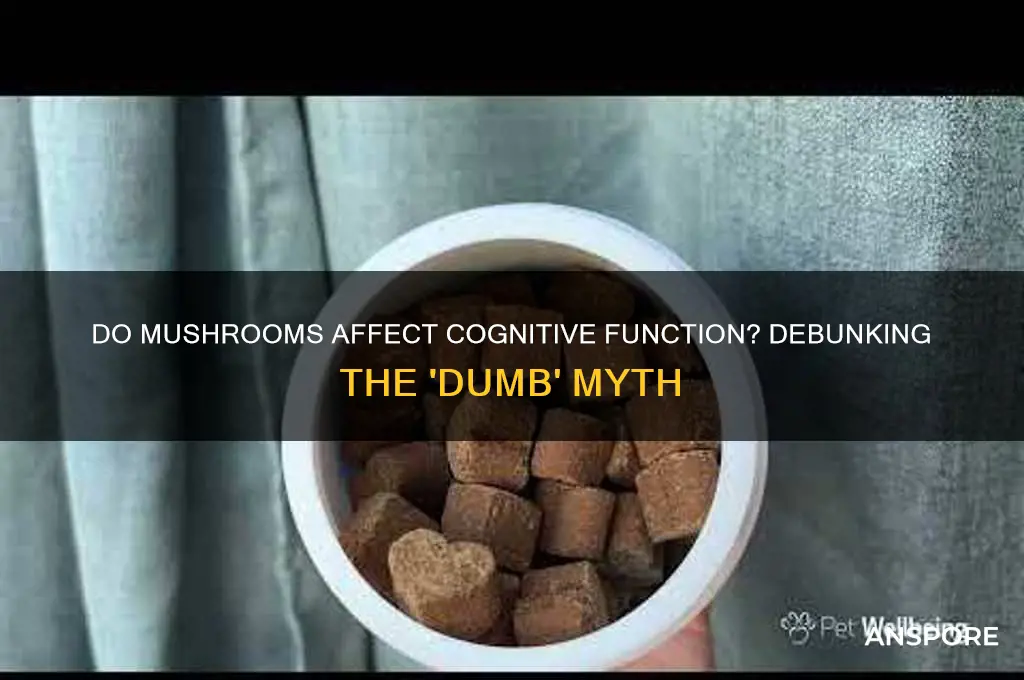 do mushrooms make you feel dumb