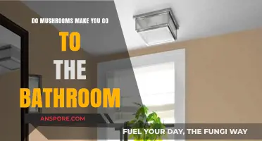 Mushrooms and Digestion: Do They Increase Bathroom Trips?