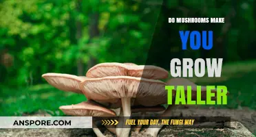 Can Mushrooms Boost Height? Unveiling the Truth About Growth Claims