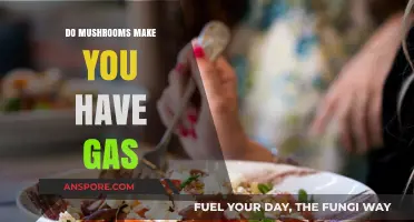 Mushrooms and Gas: Unraveling the Truth Behind Digestive Discomfort
