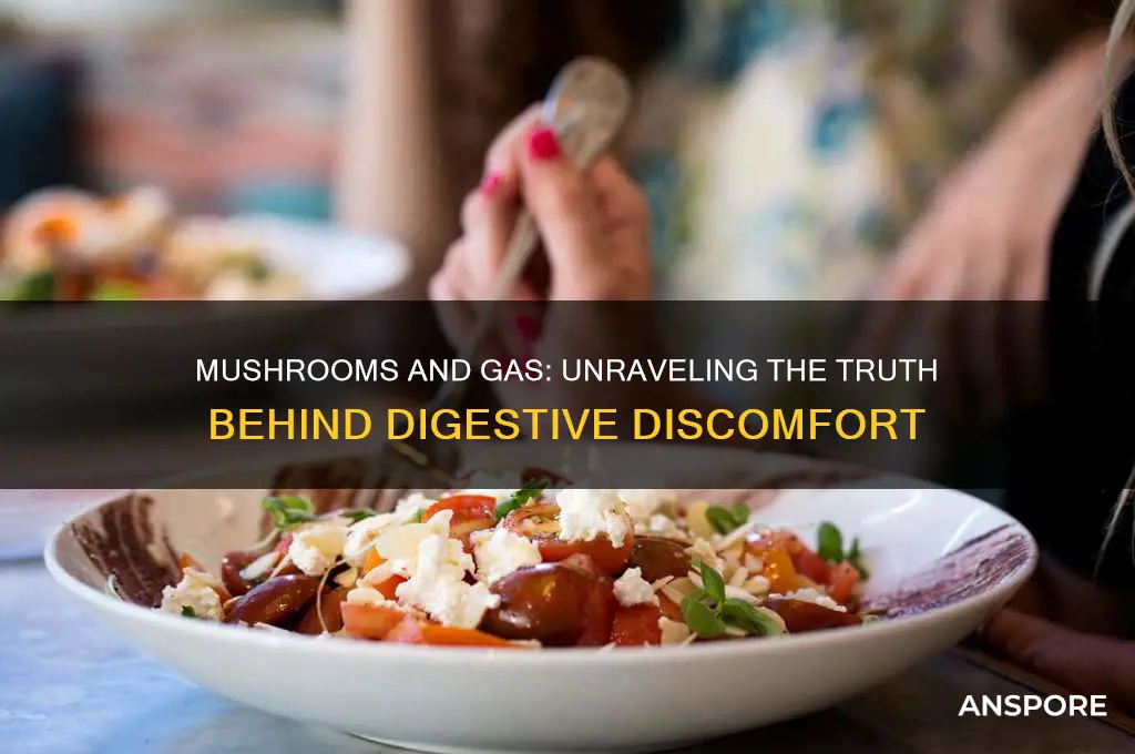 do mushrooms make you have gas