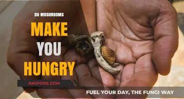Do Mushrooms Increase Appetite? Exploring the Hunger-Inducing Myth