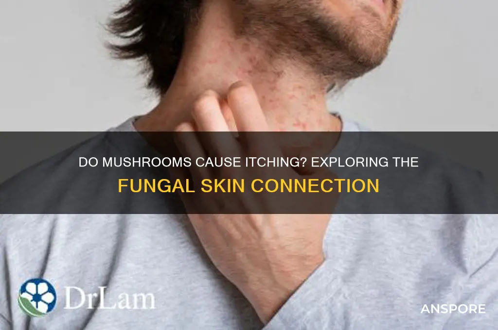 do mushrooms make you itch