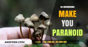 Do Mushrooms Cause Paranoia? Exploring the Truth Behind the Myth