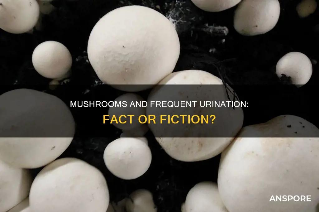 do mushrooms make you pee a lot