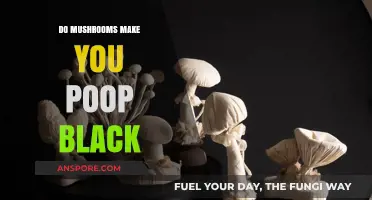Mushrooms and Black Stool: Unraveling the Surprising Connection