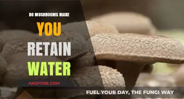 Mushrooms and Water Retention: Fact or Fiction? Exploring the Truth