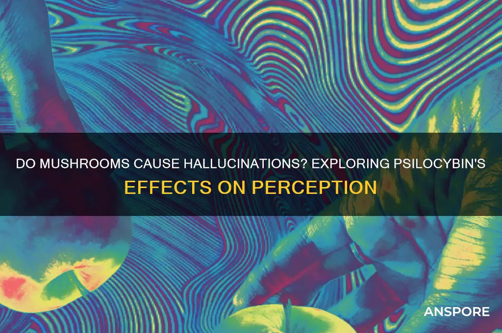 do mushrooms make you see things