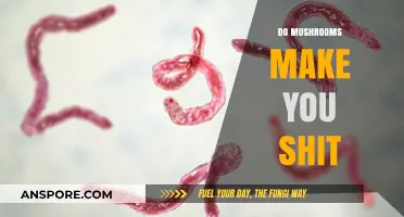 Do Mushrooms Cause Diarrhea? Exploring the Gut-Fungi Connection