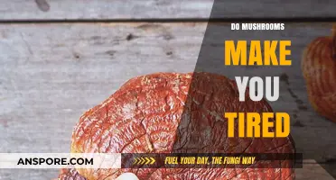 Do Mushrooms Cause Fatigue? Exploring Their Impact on Energy Levels