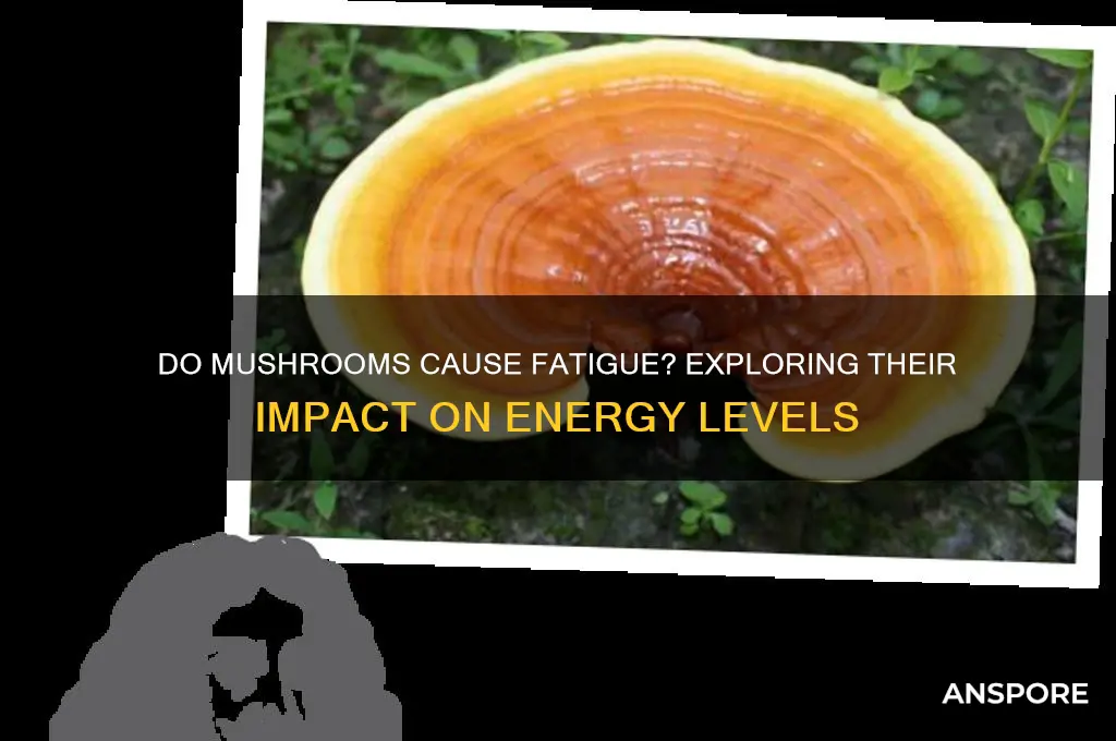 do mushrooms make you tired