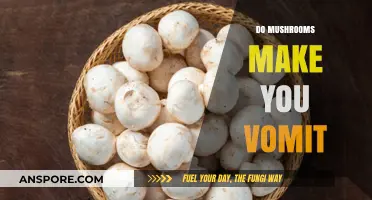 Can Mushrooms Cause Nausea? Understanding Their Effects on Your Stomach