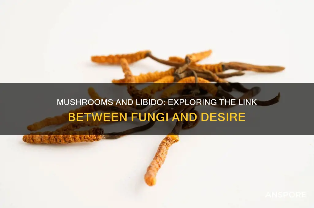 do mushrooms make you want to have sex