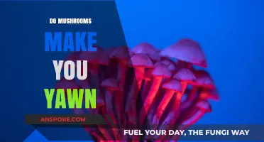 Do Mushrooms Induce Yawning? Exploring the Surprising Connection