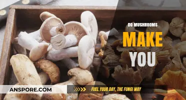 Do Mushrooms Make You Smarter, Healthier, or Hallucinate? Exploring the Truth